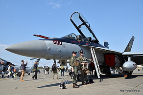 EA-18G Shadowhawks - NAF Atsugi Spring Festival 2016 （地上展示編）