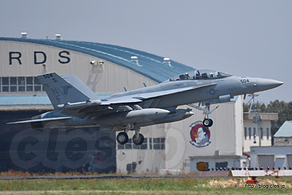 EA-18G Growler（166932/NF504） - NAF Atsugi Spring Festival 2017 の飛行訓練(？)