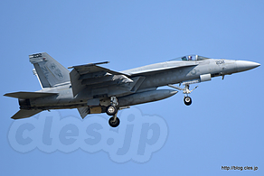 F∕A-18E Super Hornet（168364/NF202） - NAF Atsugi Spring Festival 2017 の飛行訓練(？)