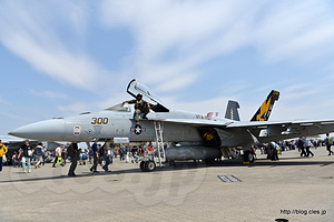 F∕A-18E Super Honret （166859/NF300） - NAF Atsugi Spring Festival 2017 にいってきた