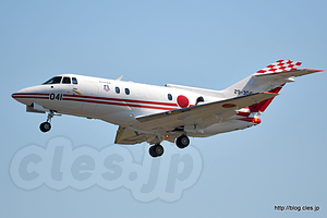 U-125（29-3041） - 飛行点検隊と第402飛行隊（入間航空祭 2017） 