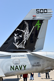 尾翼に「ダースベイダー」EA-18G（AF-500/166895） - 今日の一番人気は Star Warriors の VADER (2018 NAF Atsugi Spring Festival)