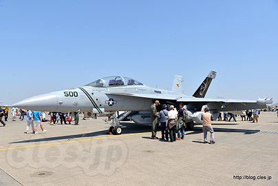 VAQ-209 Star Warriors VADER  EA-18G（AF-500/166895） - 今日の一番人気は Star Warriors の VADER (2018 NAF Atsugi Spring Festival)