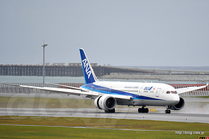 着陸する ANA 機 - 那覇空港の展望デッキ