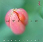 CD　球根の中には