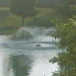 Fountain in a pond