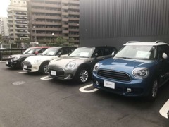 MINI NEXT 亀有 | お店の実績