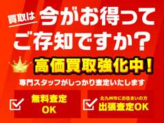 （株）カーパレスキング | 買取