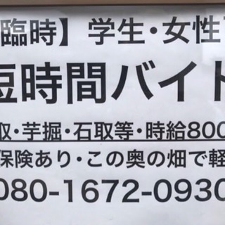 畑作業・開墾の手伝い◆日払いも可能