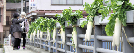 橋の欄干にぶら下げられた塩原高原大根＝那須塩原市塩原で２０１７年１１月１日、柴田光二撮影