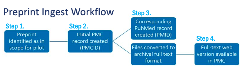 Graphic showing NIH Preprint Pilot Ingest Workflow