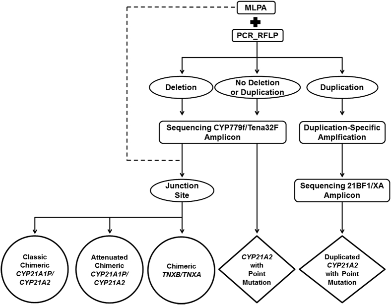 Figure 3