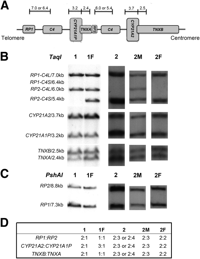 Figure 1