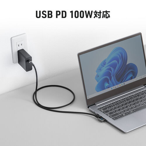 yVi|Cg10{zUSB Type-CP[u W\@\t USB4 8K/60Hz LRlN^ f`B\ PD100WΉ 1m VRP[u  [d f[^] 500-USB087L-1