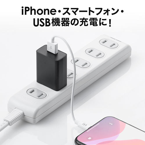 USB[d 1|[g 1A RpNg PSE擾 USB-ACA_v^ iPhone[dΉ ubN ^ ^ ≏Lbvt 700-AC026BK