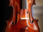 violasunicode