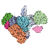 Assembly Line Polyketide Synthases