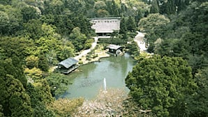 東山植物園の野鳥