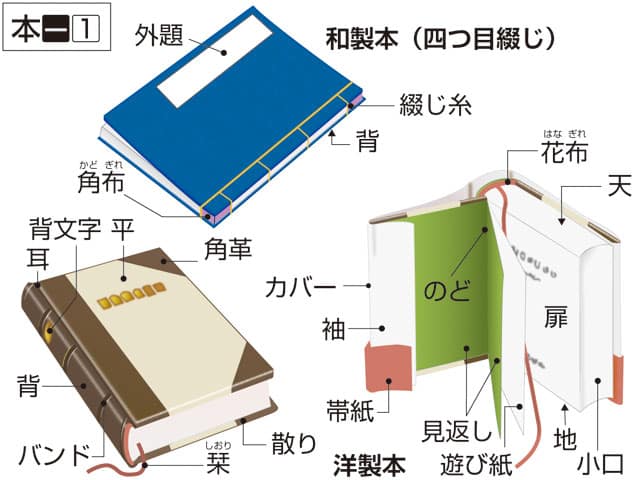 地の画像