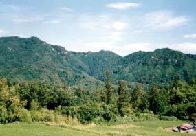 玉峰山水源の森