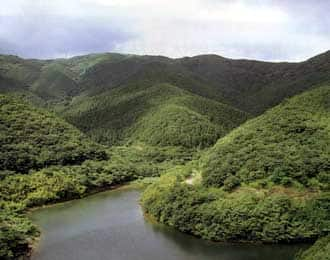 雉鳴水源の森