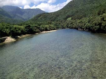 宮之浦岳国有林