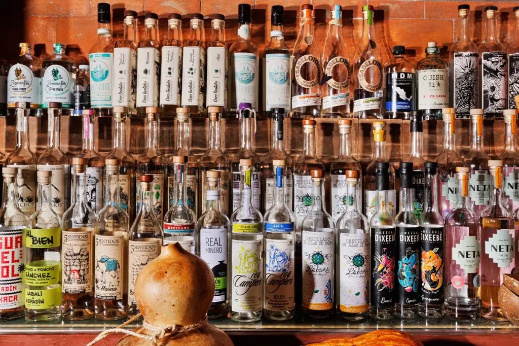 Bar shelves with bottles of mezcal.