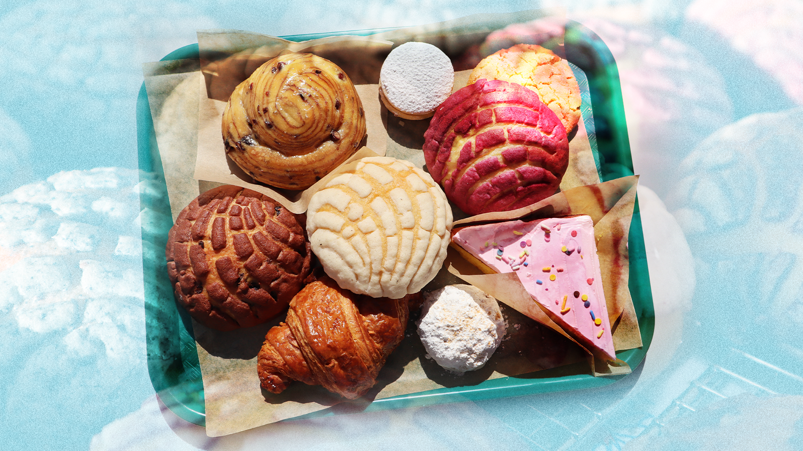 A plastic tray of conchas and pan dulce on a blue background