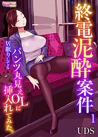 終電泥酔案件～居眠りしてるパンツ丸見えOLに挿入れてみた。～