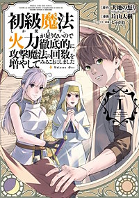 初級魔法しか使えず、火力が足りないので徹底的に攻撃魔法の回数を増やしてみることにしました