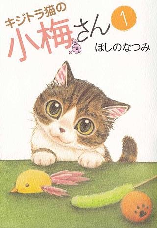 キジトラ猫の小梅さん