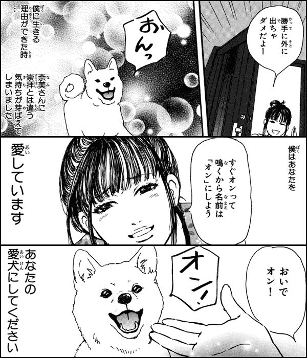 相羽奈美の犬