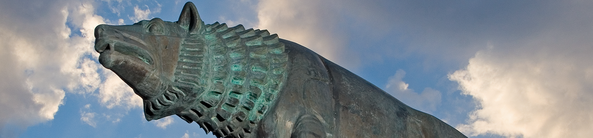 image of bronze lobo at johnson gym