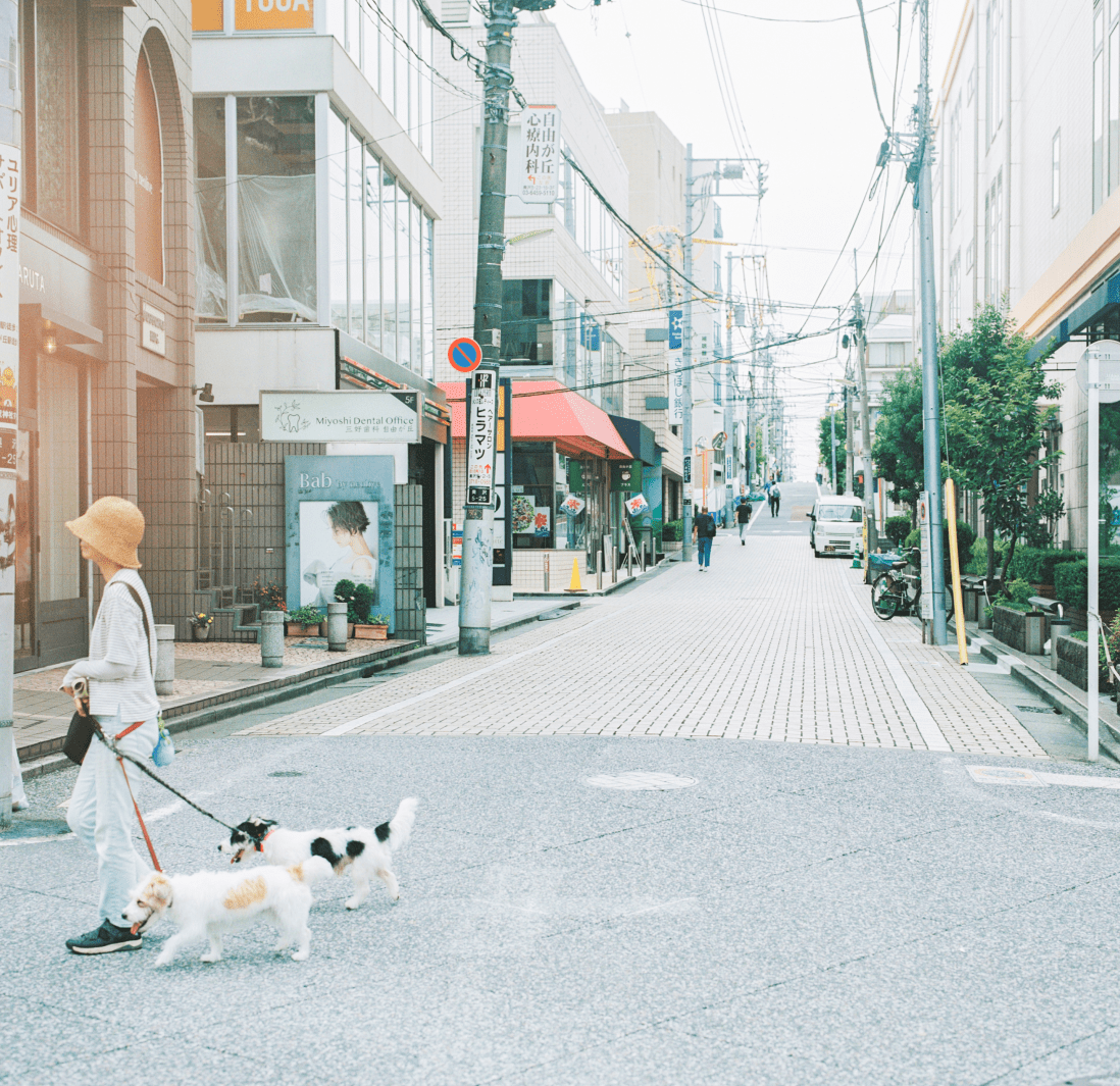 いくつかのお店が立ち並ぶ街並み。