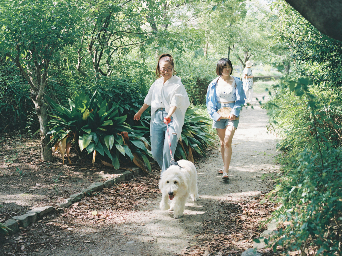 公園で散歩をする愛犬と親子。