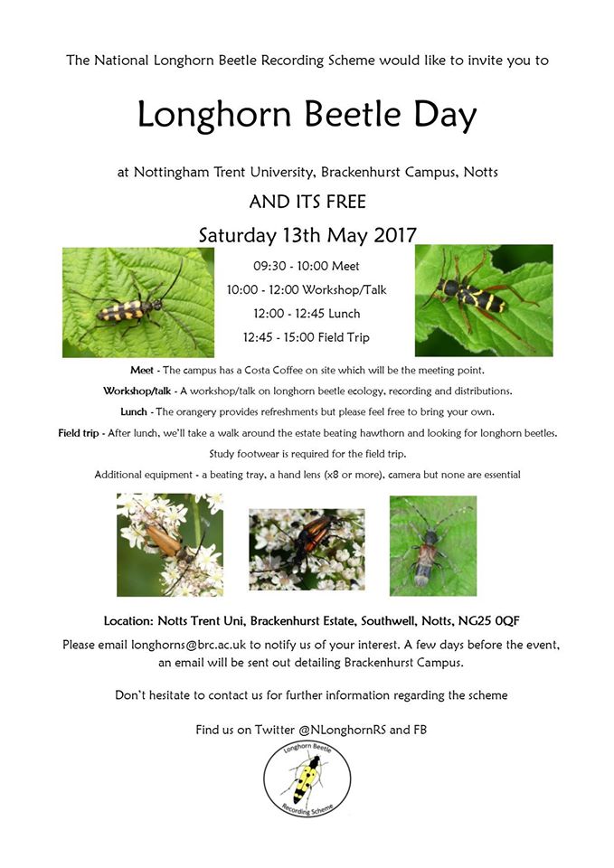 Longhorn beetle workshop