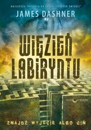 Cover of: Więzień labiryntu