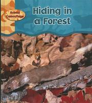 Cover of: Hiding in a Forest (Animal Camouflage)