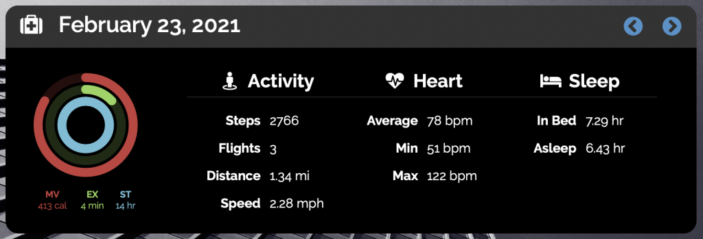 Daily Health Metrics Screenshot