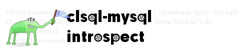 clsql-mysql-introspect