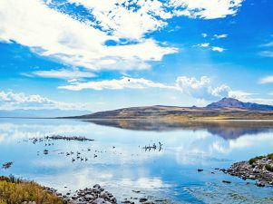 Saving the Great Salt Lake: A Community Effort Led by Salt Lake Community College