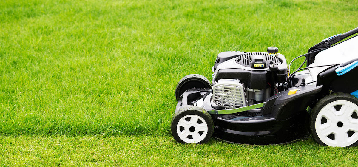 lawn care service