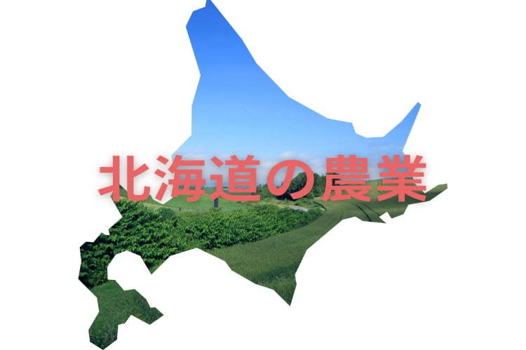 北海道の農業の現状と課題｜地域特性と課題解決への道筋