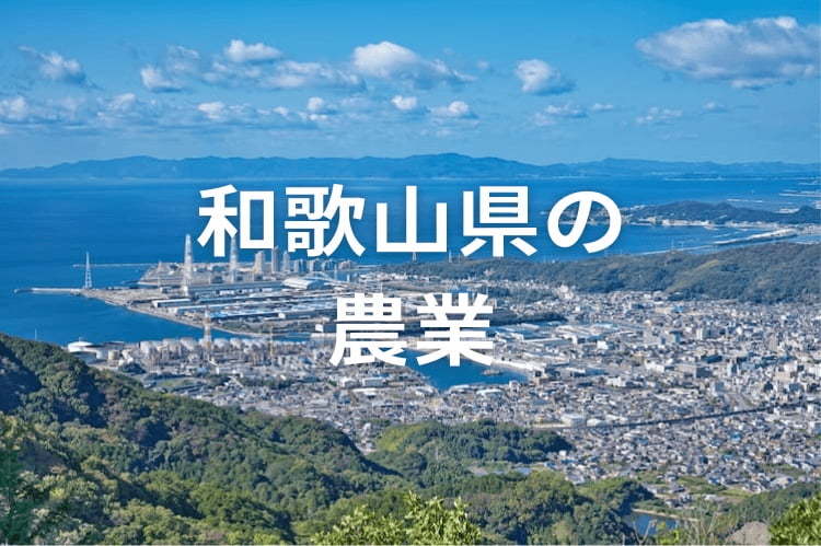 地域活性化に挑む和歌山の農業｜6次産業化の成功ストーリー