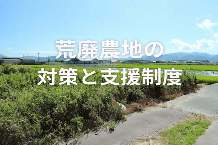 荒廃農地対策と支援制度｜具体的な対策アイデアや成功事例も紹介