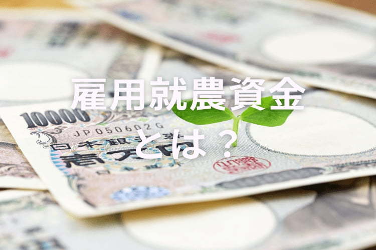 雇用就農資金とは？農業法人が知っておくべき申請方法と条件