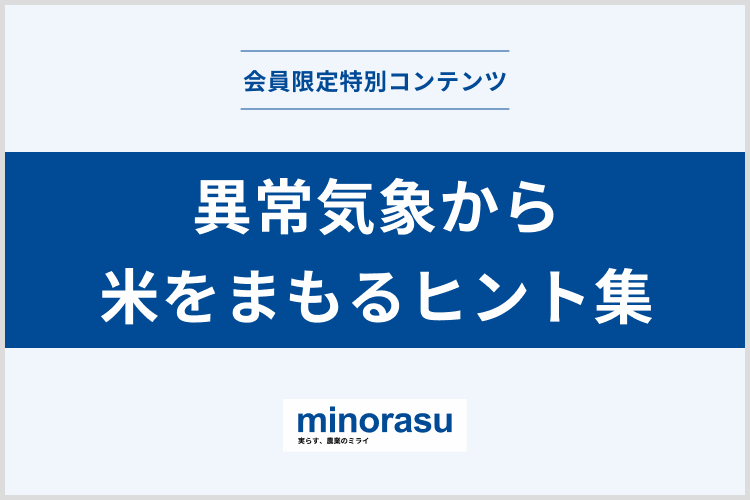 水稲の品質や収量を安定化！異常気象から米を守るヒント集