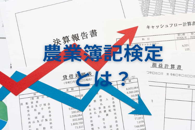 農業簿記検定とは？経営スキルアップにつながるメリットや活用法を解説