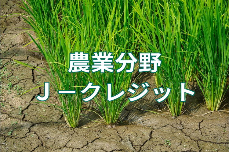 【農業分野のＪ－クレジット制度】中干し期間の延長による減収リスクを抑え、追加収入を得る方法