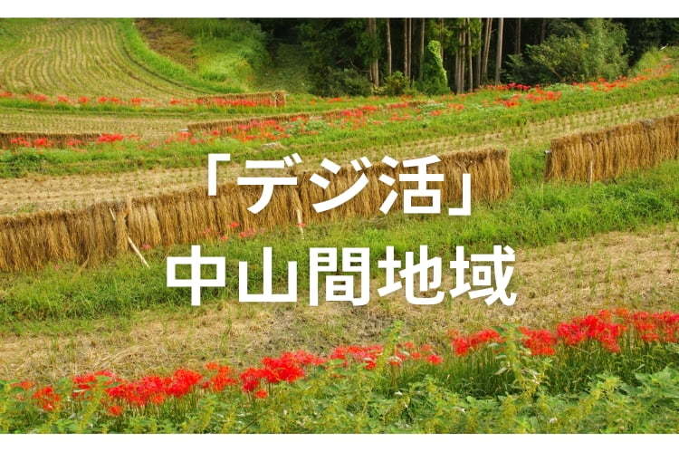 「デジ活」中山間地域の支援内容と活用法を解説